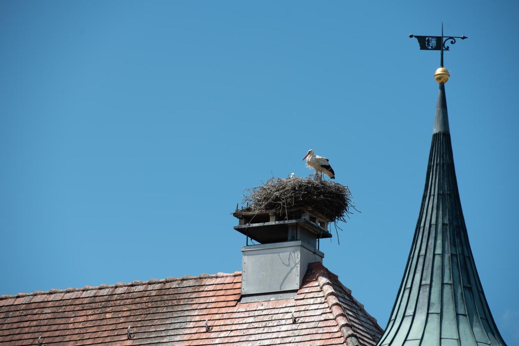 Boutique - Hotel Zum Schloss Amtzell Esterno foto